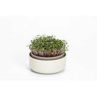 miska ke klíčení d16x 7,7cm, SLON.KOST, MICROGREENS, plast