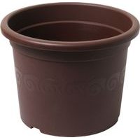 obal d15cm Narcis Čoko