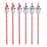 Nápojové brčko opakované použití SNĚHULÁK 6 ks