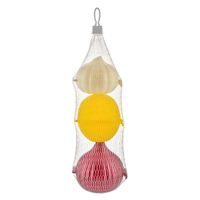 QLUX SADA 3KS MINI BOXŮ NA ČESNEK,CIBULI A CITRON,PLAST_hamashop