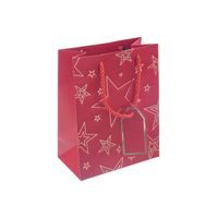 Dárková taška hvězda 18x10x23 cm