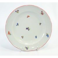 talíř d24cm mělký RAK. HÁZENKA, čes.porcelán