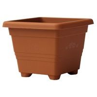 obal 50x50cm BEGONIA TER