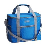 PROGARDEN Chladící taška na jídlo i pití 20 l modrá KO-DB9000610