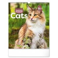 Nástěnný kalendář Kočky 2022, 30 × 34 cm Baagl