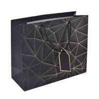 Dárková taška mřížka 31x12x26 cm