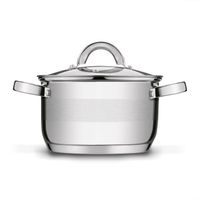 hrnec d20cm+PO sklo, ( 3,3l) ROGER, indukce, NR