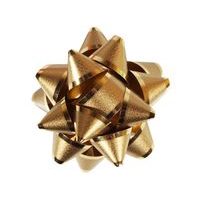 Nezařazeno HVĚZDICE STŘEDNÍ LUXUS (7,5CM)_hamashop