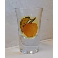 sklen. 30ml, 6ks, SPIRIT MERUŇKY, panák