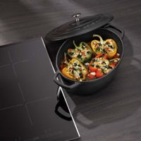 rendlík d28+PO ASTRA 2, 6,0l, v.10,0cm, indukce, NR