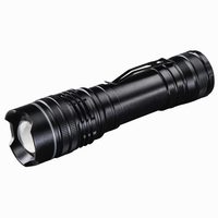 Hama Professional 4, LED Torch, 370 lumens