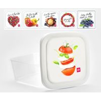 box 3,0l čtverc., OBRÁZEK, 19,5x19,5x 13cm, plast