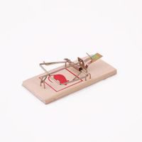 TORO PASTIČKA NA MYŠI 3KS, 10X4,5X0,5CM_hamashop