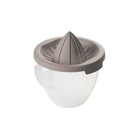 heidrun LIS NA CITRUSY S NÁDOBKOU, PLAST, 12,5X14CM_hamashop