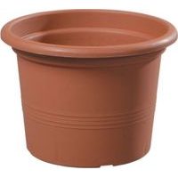 květ. d40cm CAMPANULA TER