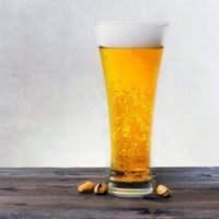 Houbařský nůž zavírací se štětcem 7 cm