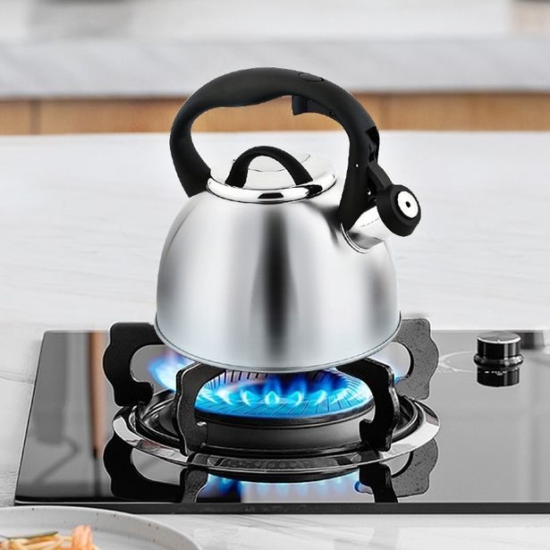 CS SOLINGEN Konvice pískací nerez Bonn 2,5 l CS-067366nere