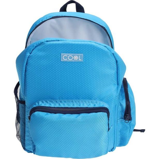 PROGARDEN Chladící batoh na jídlo i pití 18 l modrá KO-DB9501080svmo