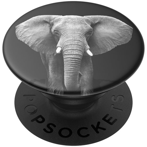 PopSockets PopGrip Gen.2, Loxodonta Africana, slon africký