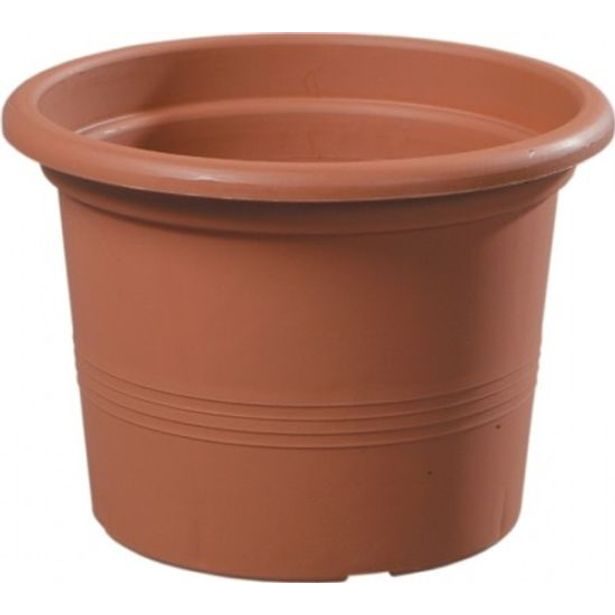 květ. d40cm CAMPANULA TER