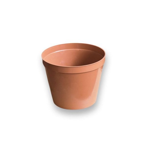 květ. d12cm Standard TER