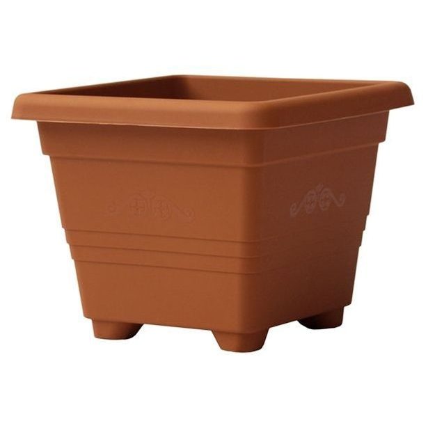 obal 35x35cm BEGONIA TER