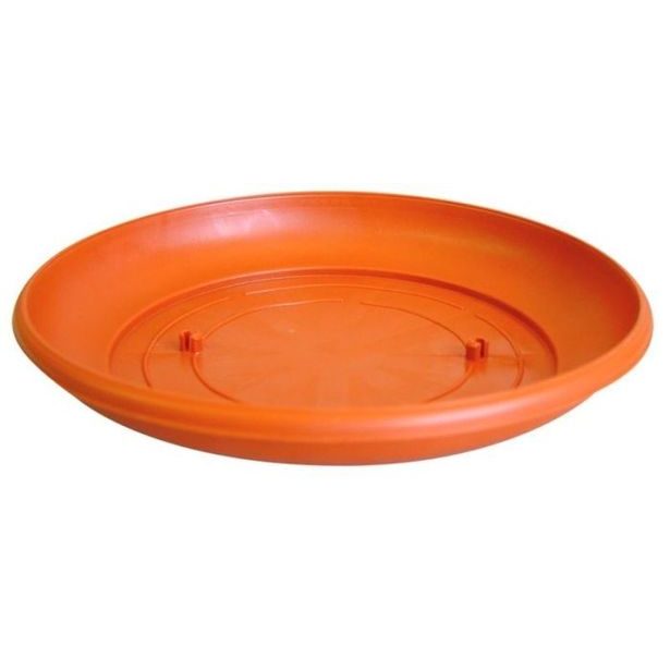 podmiska d12cm TER HARMONIE