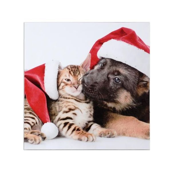 TORO OBRAZ DEKORAČNÍ SVÍTÍCÍ LED 30X30CM TISK PLÁTNO_hamashop