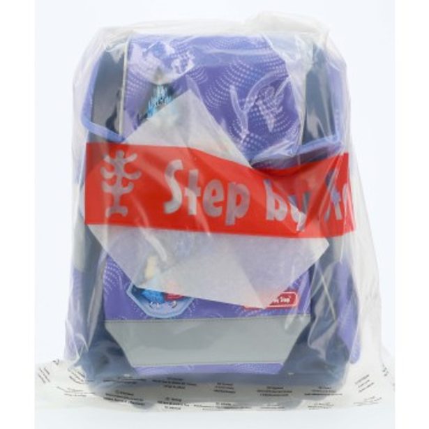 Školní aktovka/batoh 2V1 pro prvňáčky – 6dílný set, Step by Step Ledové království, certifikát AGR