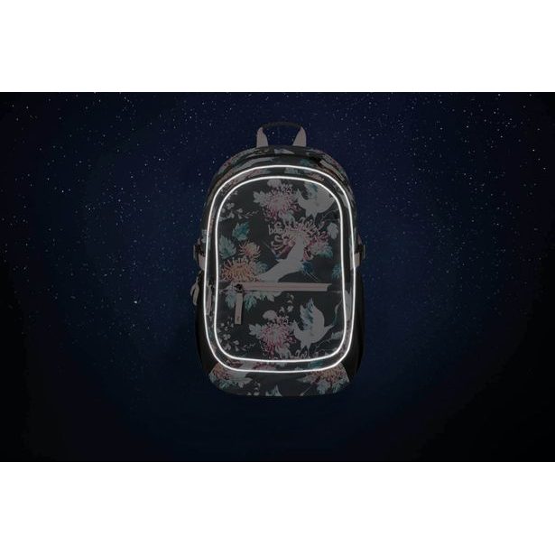 BAAGL Školní batoh Core Birds