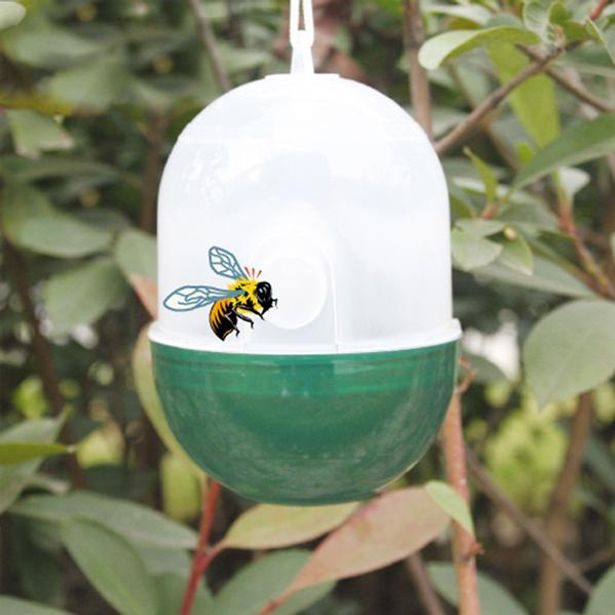 TORO LAPAČ VOS, PLAST, 13X9CM_hamashop