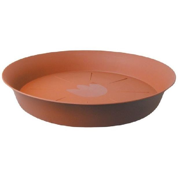 podmiska d12cm TER TULIPÁN