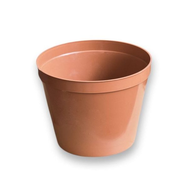 květ. d18cm Standard TER