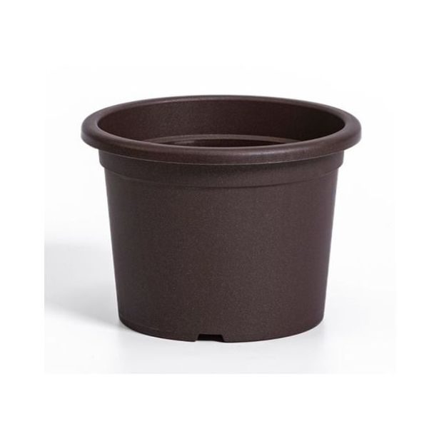 obal d19cm Narcis Čoko