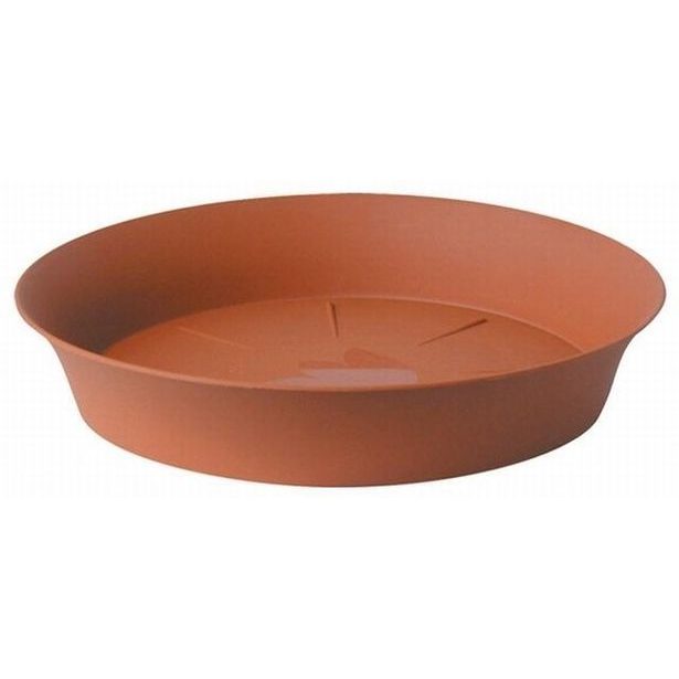 podmiska d22cm TER TULIPÁN