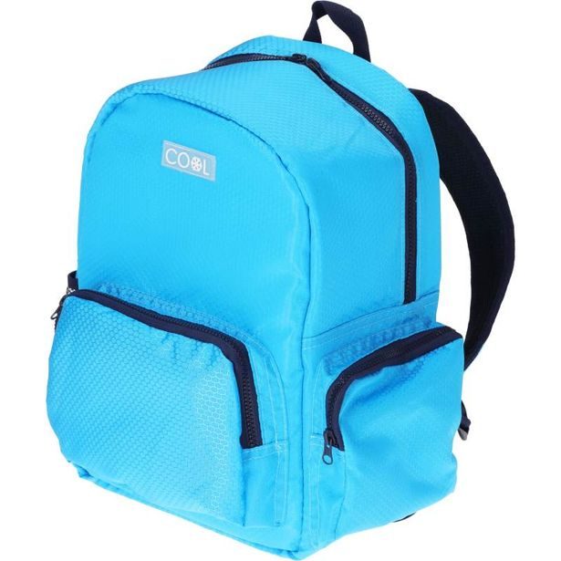 PROGARDEN Chladící batoh na jídlo i pití 18 l modrá KO-DB9501080svmo