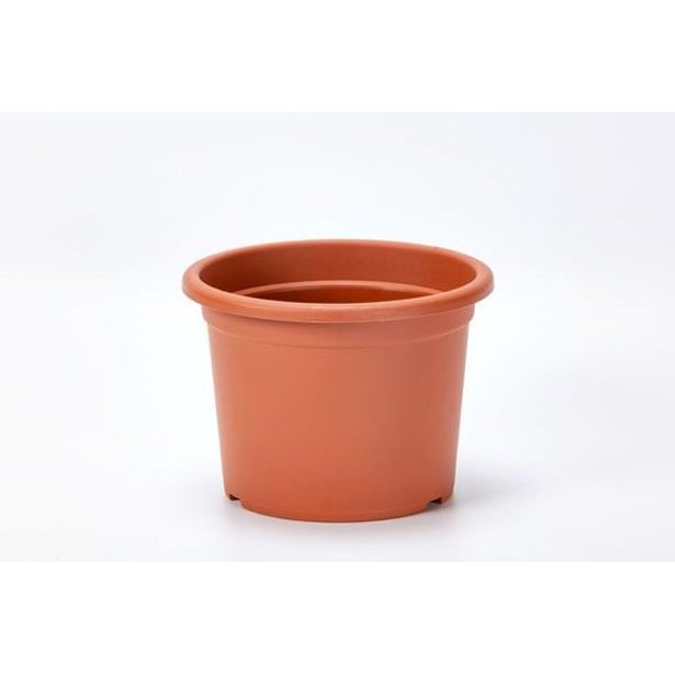 obal d23cm Narcis TER