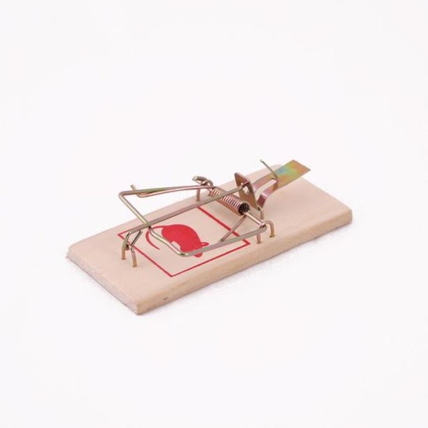 TORO PASTIČKA NA MYŠI 3KS, 10X4,5X0,5CM_hamashop