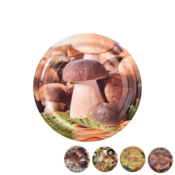 Zavařovací víčko Bio 66 10 ks