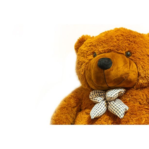 Medvěd hnědý plyšový 190cm