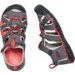 KEEN SEACAMP II CNX YOUTH magnet/drizzle