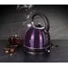 BERLINGERHAUS Rychlovarná konvice nerez 1,7 l Purple Eclipse BH-9338