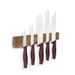 BERLINGERHAUS Sada nožů s magnetickým držákem z akátového dřeva 6 ks Leonardo Collection BH-2944