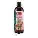 TOP Kombucha Melounek by Nela, 500 ml