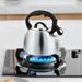 CS SOLINGEN Konvice pískací nerez Bonn 2,5 l CS-067366nere