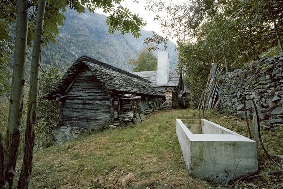 Hide and Seek: Architektura domków i spokojnych schronień