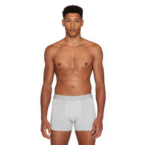 KnowledgeCotton Apparel 2-Pack Underwear — Grey Melange