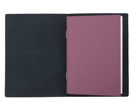 Traveler's Notebook - albastru (Passport)
