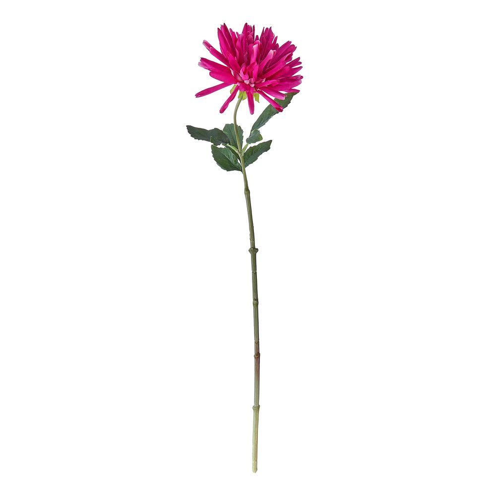 FLORISTA Georgína 59 cm - tm. ružová