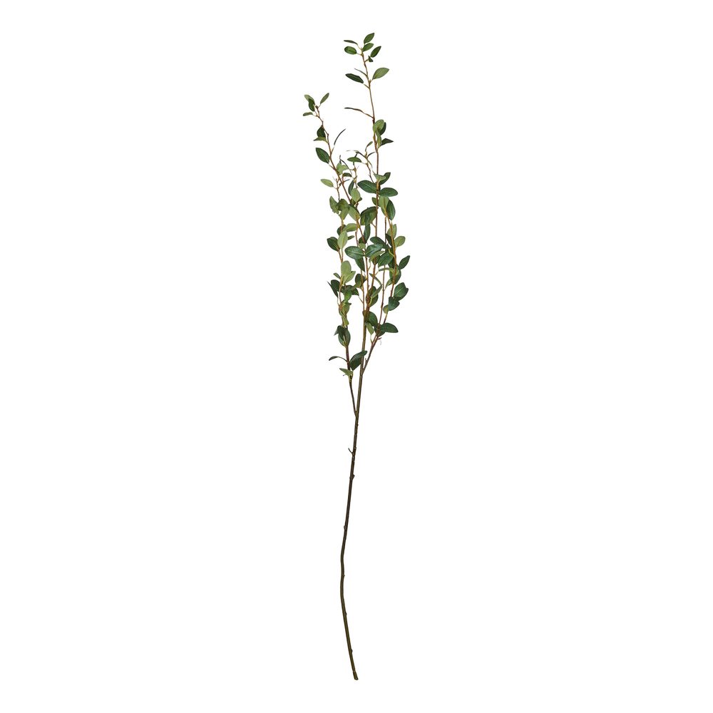 FLORISTA Vŕbová vetvička